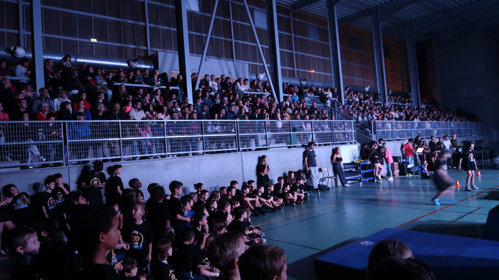 Cascade 31 PARKOUR / FREERUN / CHASETAG / STUNT TRICKING / COMBATS CINÉMA / GYM MARTIALE / TEAM BUILDING / ANIMATIONS / STAGES