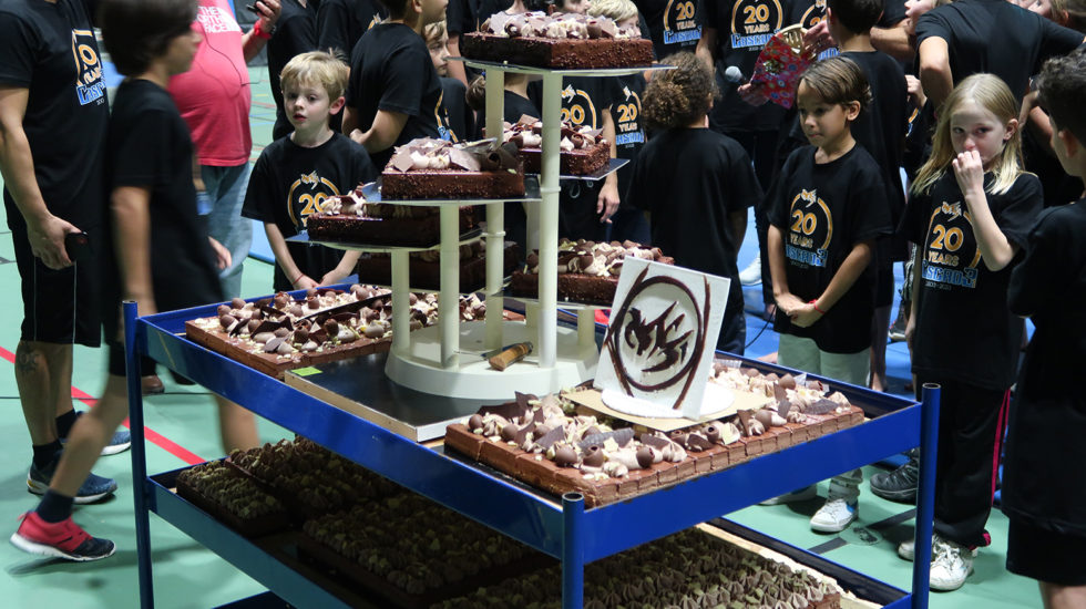 Cascade 31 PARKOUR / FREERUN / CHASETAG / STUNT TRICKING / COMBATS CINÉMA / GYM MARTIALE / TEAM BUILDING / ANIMATIONS / STAGES