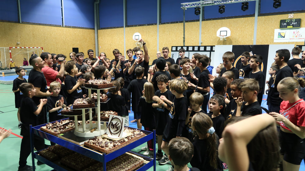 Cascade 31 PARKOUR / FREERUN / CHASETAG / STUNT TRICKING / COMBATS CINÉMA / GYM MARTIALE / TEAM BUILDING / ANIMATIONS / STAGES