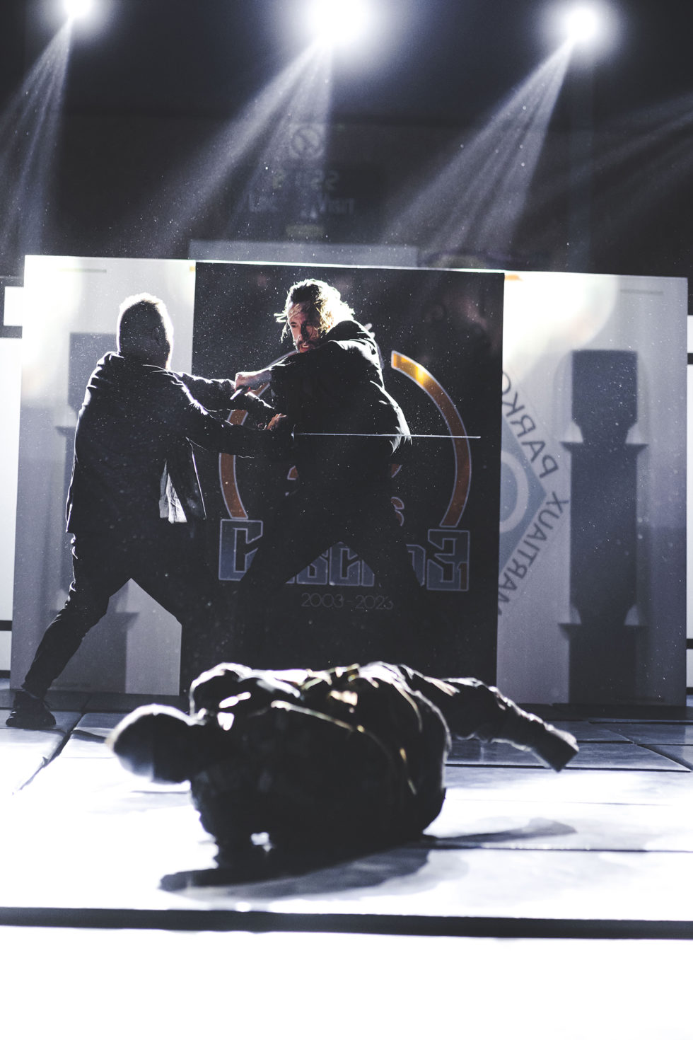 Cascade 31 PARKOUR / FREERUN / CHASETAG / STUNT TRICKING / COMBATS CINÉMA / GYM MARTIALE / TEAM BUILDING / ANIMATIONS / STAGES