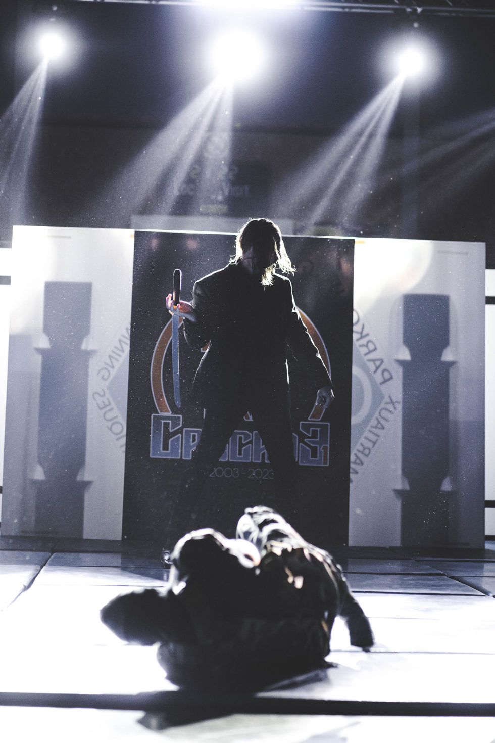 Cascade 31 PARKOUR / FREERUN / CHASETAG / STUNT TRICKING / COMBATS CINÉMA / GYM MARTIALE / TEAM BUILDING / ANIMATIONS / STAGES