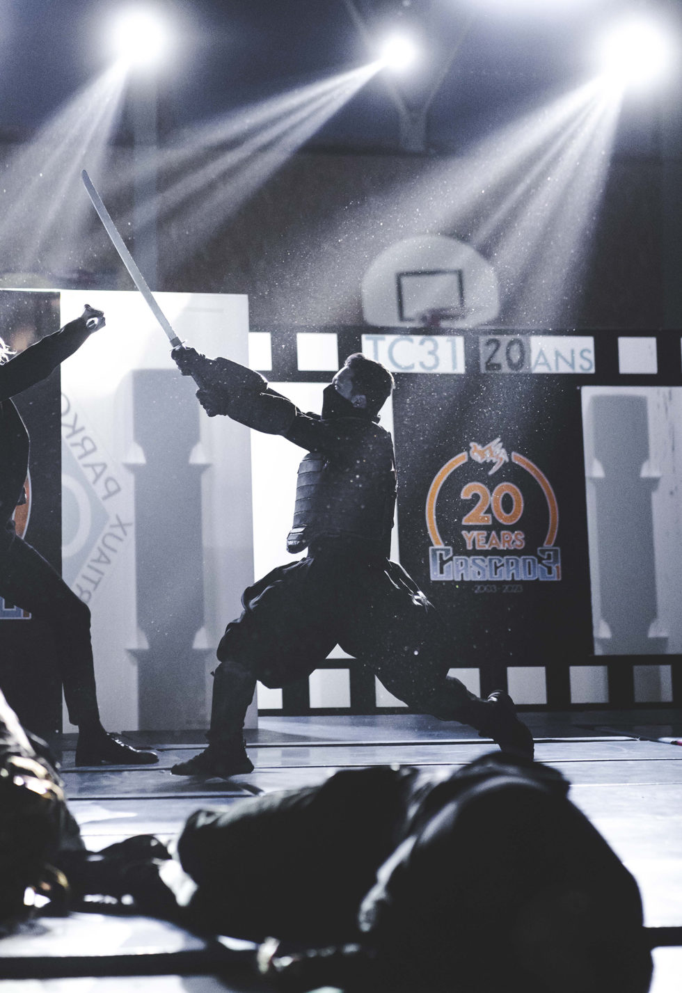 Cascade 31 PARKOUR / FREERUN / CHASETAG / STUNT TRICKING / COMBATS CINÉMA / GYM MARTIALE / TEAM BUILDING / ANIMATIONS / STAGES