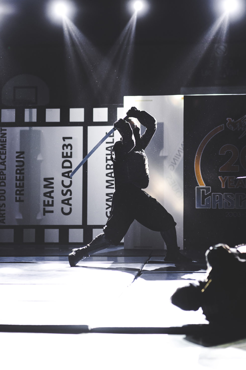 Cascade 31 PARKOUR / FREERUN / CHASETAG / STUNT TRICKING / COMBATS CINÉMA / GYM MARTIALE / TEAM BUILDING / ANIMATIONS / STAGES