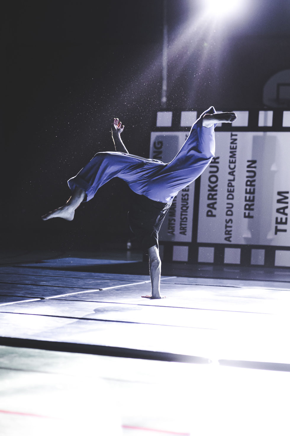 Cascade 31 PARKOUR / FREERUN / CHASETAG / STUNT TRICKING / COMBATS CINÉMA / GYM MARTIALE / TEAM BUILDING / ANIMATIONS / STAGES