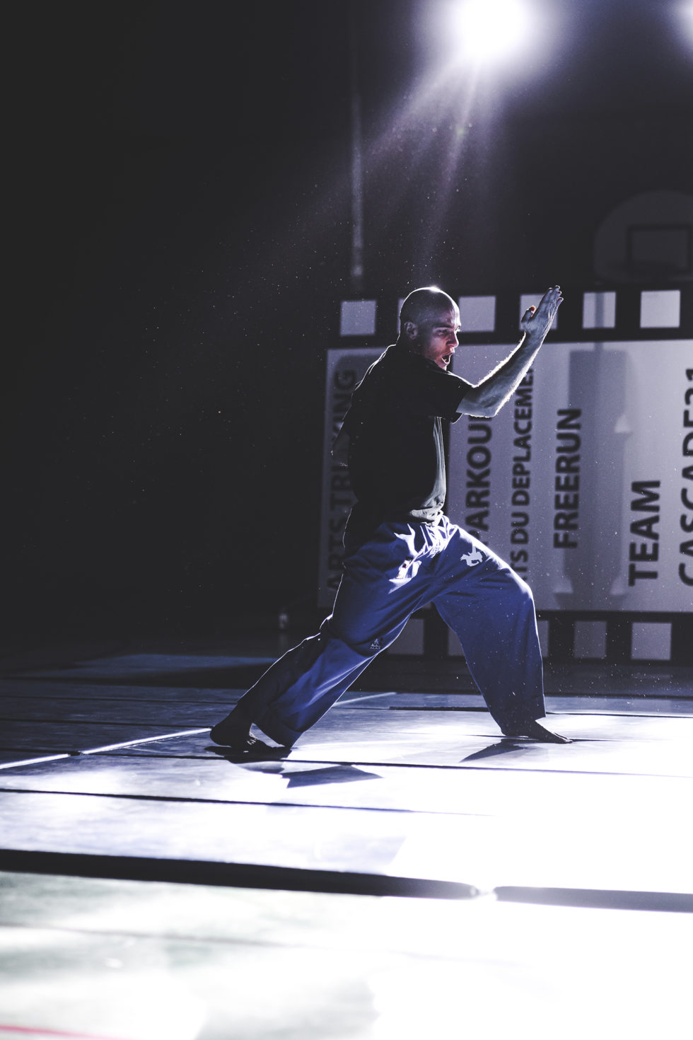 Cascade 31 PARKOUR / FREERUN / CHASETAG / STUNT TRICKING / COMBATS CINÉMA / GYM MARTIALE / TEAM BUILDING / ANIMATIONS / STAGES