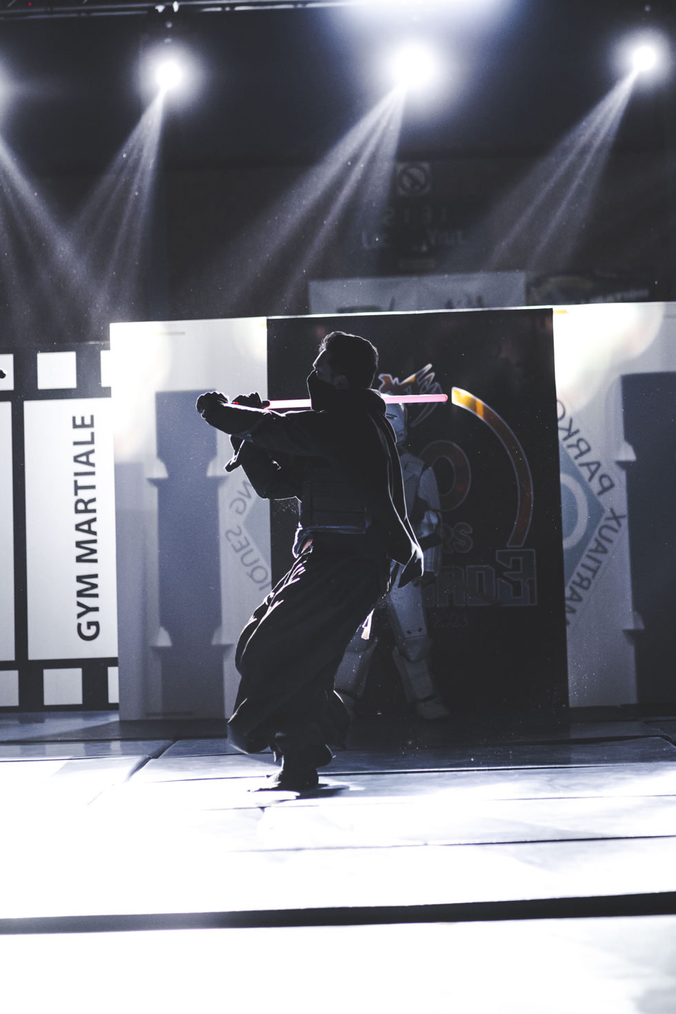 Cascade 31 PARKOUR / FREERUN / CHASETAG / STUNT TRICKING / COMBATS CINÉMA / GYM MARTIALE / TEAM BUILDING / ANIMATIONS / STAGES