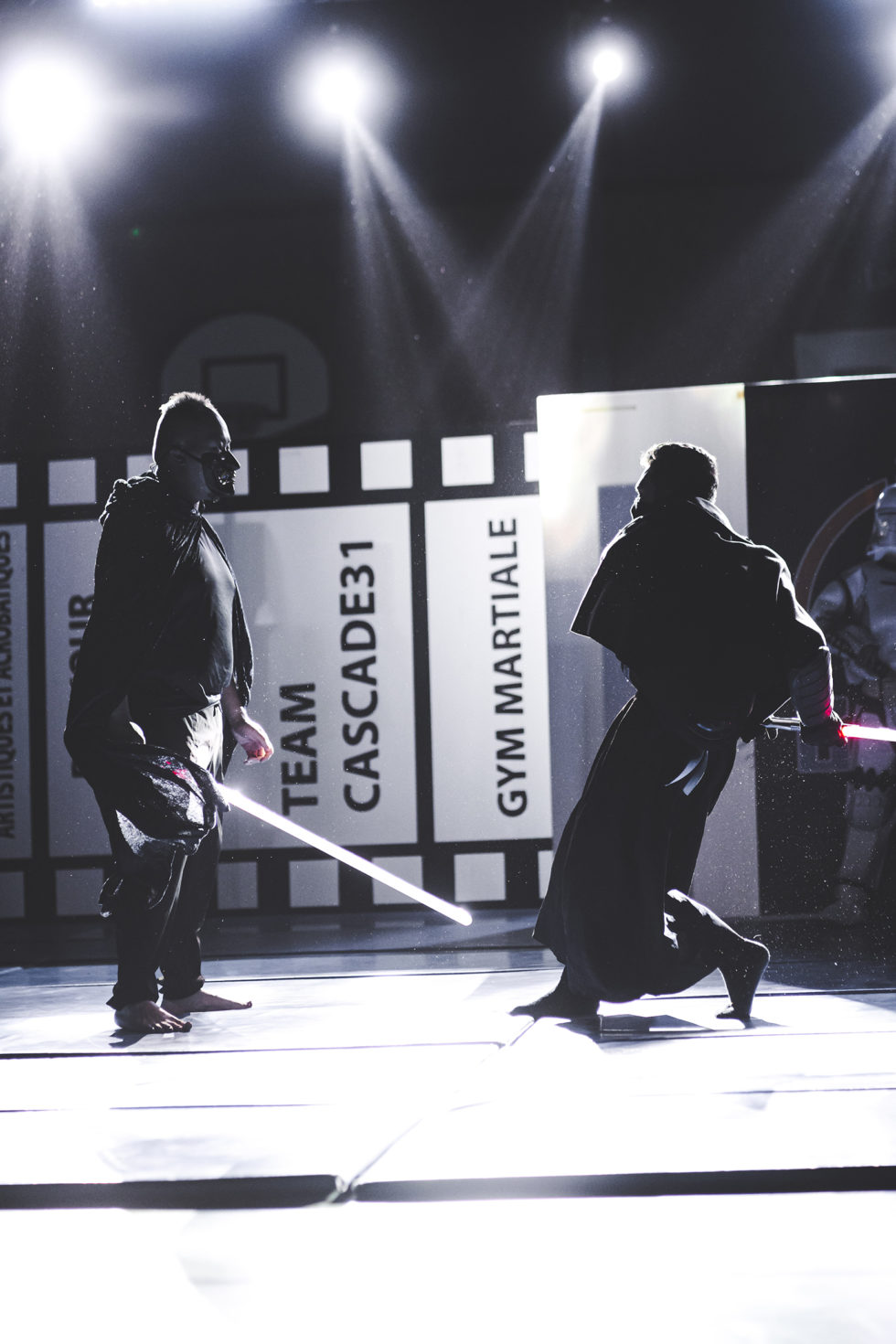 Cascade 31 PARKOUR / FREERUN / CHASETAG / STUNT TRICKING / COMBATS CINÉMA / GYM MARTIALE / TEAM BUILDING / ANIMATIONS / STAGES