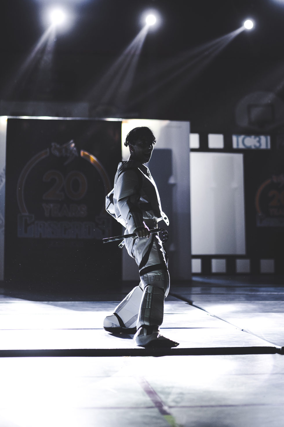 Cascade 31 PARKOUR / FREERUN / CHASETAG / STUNT TRICKING / COMBATS CINÉMA / GYM MARTIALE / TEAM BUILDING / ANIMATIONS / STAGES