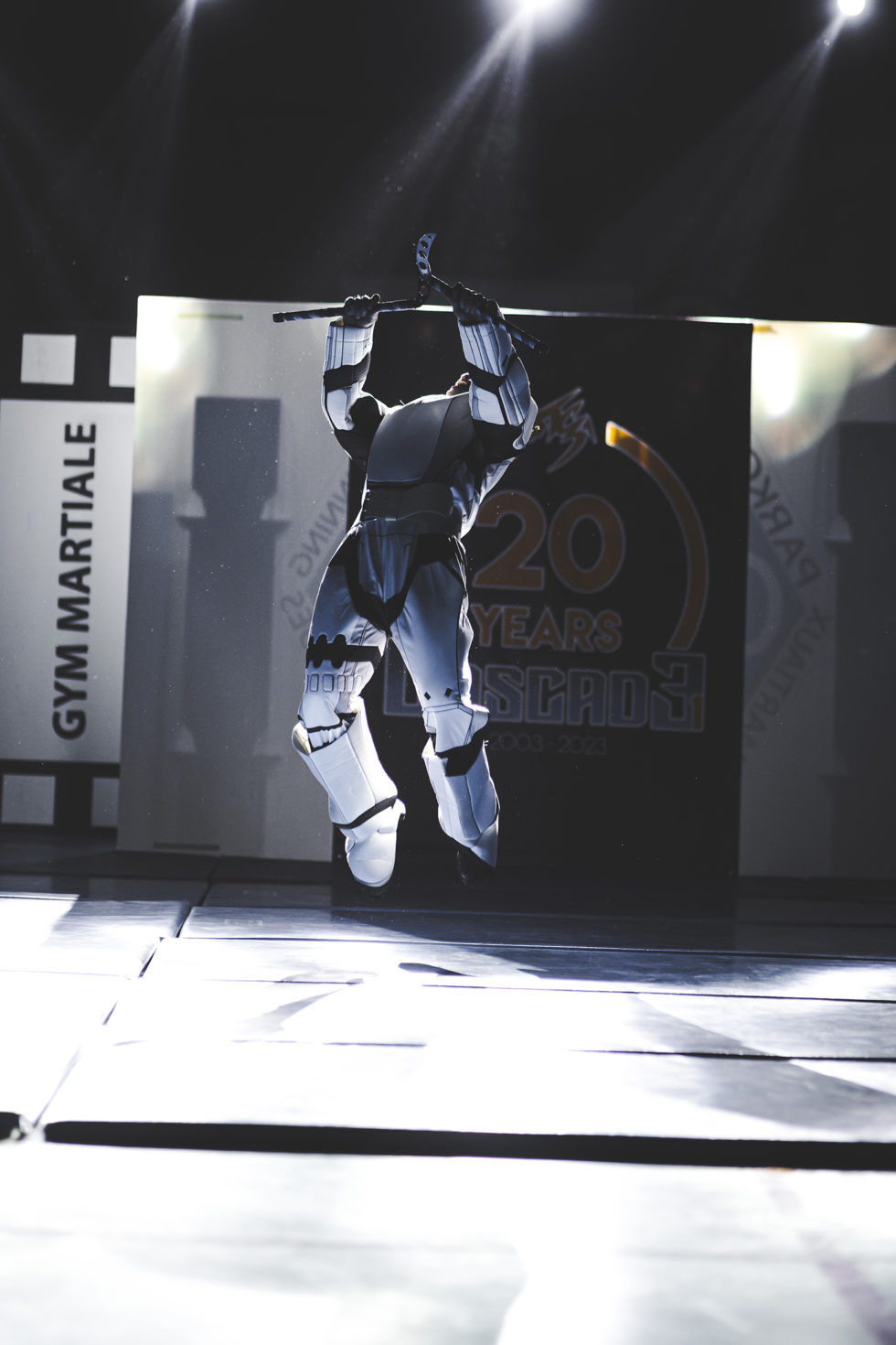 Cascade 31 PARKOUR / FREERUN / CHASETAG / STUNT TRICKING / COMBATS CINÉMA / GYM MARTIALE / TEAM BUILDING / ANIMATIONS / STAGES