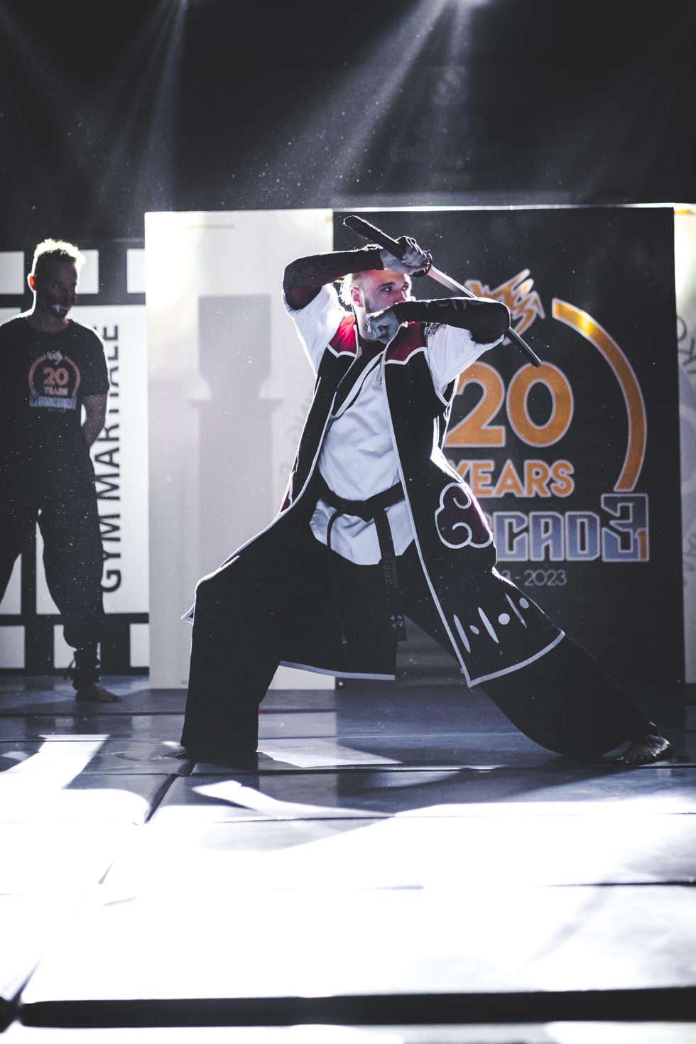 Cascade 31 PARKOUR / FREERUN / CHASETAG / STUNT TRICKING / COMBATS CINÉMA / GYM MARTIALE / TEAM BUILDING / ANIMATIONS / STAGES