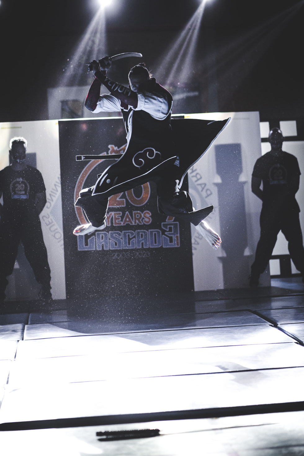 Cascade 31 PARKOUR / FREERUN / CHASETAG / STUNT TRICKING / COMBATS CINÉMA / GYM MARTIALE / TEAM BUILDING / ANIMATIONS / STAGES