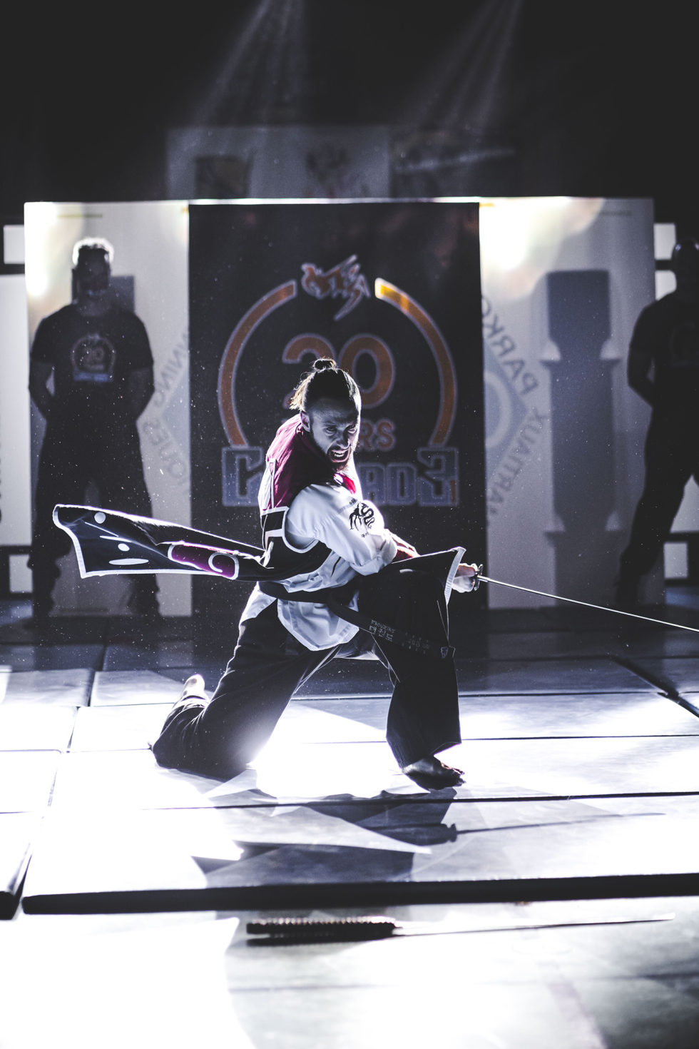 Cascade 31 PARKOUR / FREERUN / CHASETAG / STUNT TRICKING / COMBATS CINÉMA / GYM MARTIALE / TEAM BUILDING / ANIMATIONS / STAGES