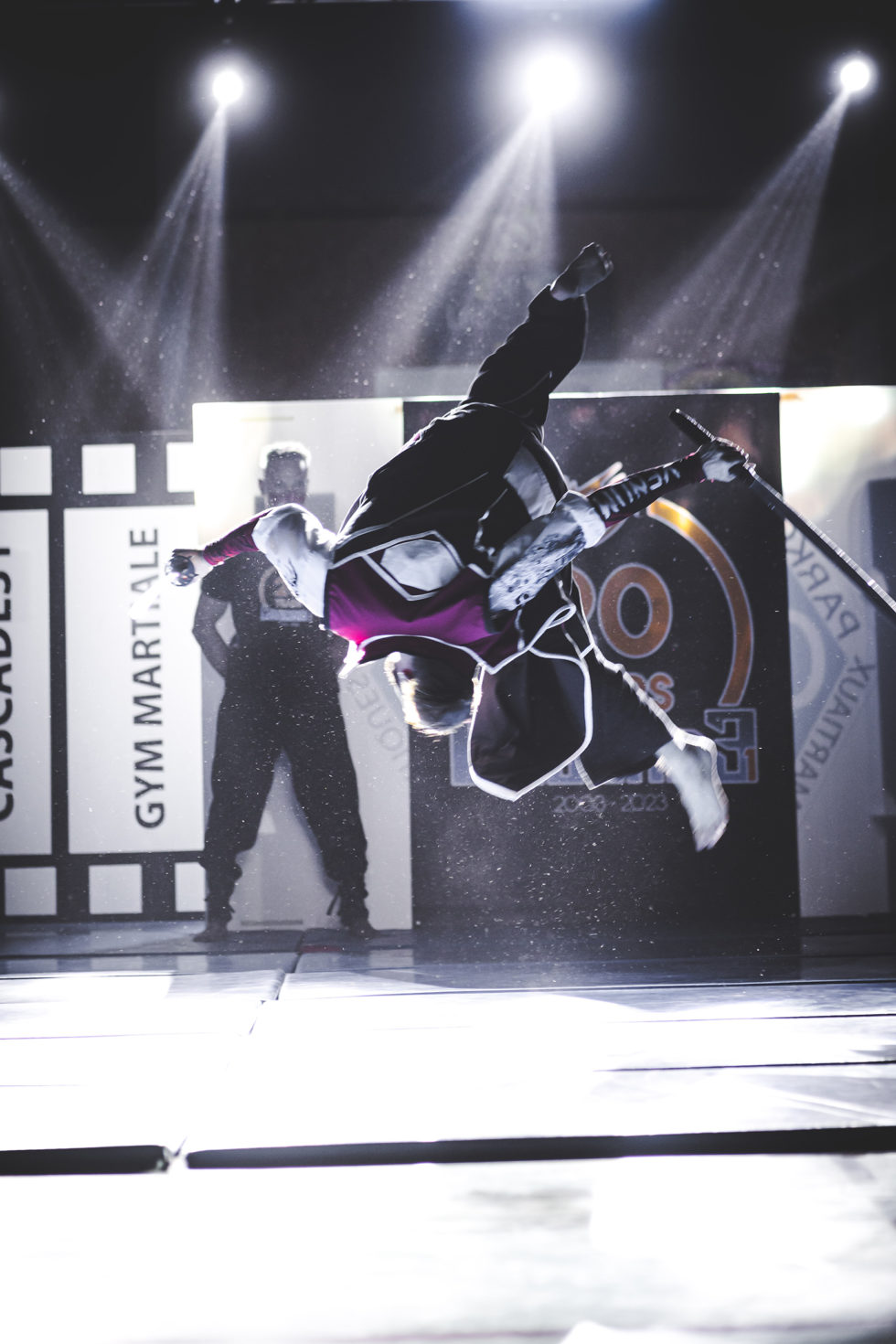 Cascade 31 PARKOUR / FREERUN / CHASETAG / STUNT TRICKING / COMBATS CINÉMA / GYM MARTIALE / TEAM BUILDING / ANIMATIONS / STAGES