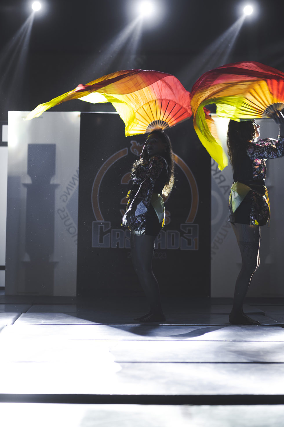 Cascade 31 PARKOUR / FREERUN / CHASETAG / STUNT TRICKING / COMBATS CINÉMA / GYM MARTIALE / TEAM BUILDING / ANIMATIONS / STAGES